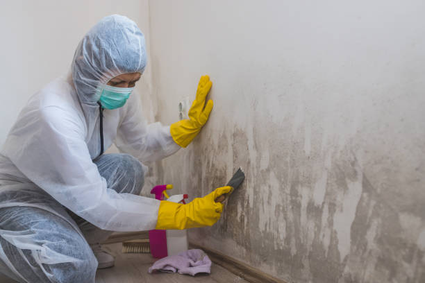 Best Residential Mold Removal  in Calera, OK