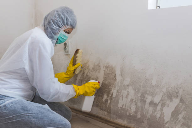 Best Residential Mold Removal  in Calera, OK