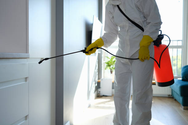 Best Mold Removal Company Near Me  in Calera, OK